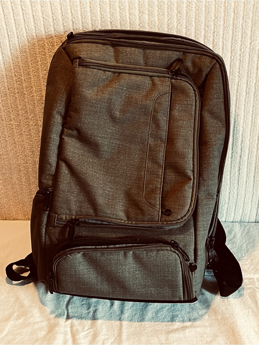 eBags Professional Laptop Travel Backpack Gray Orange Interior Carry On NWOT